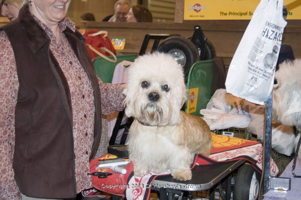Crufts-200803