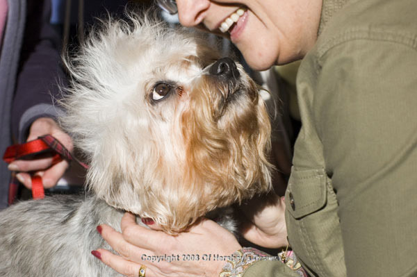 Crufts-200813