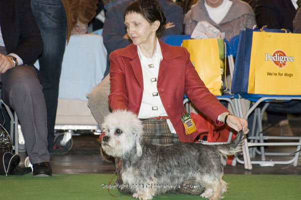 Crufts-2008163