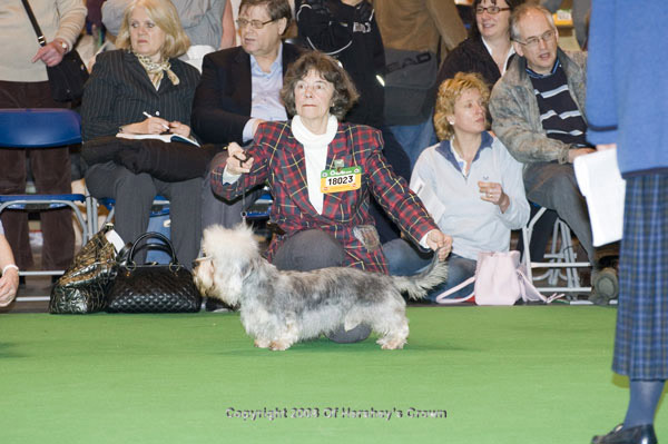 Crufts-2008101