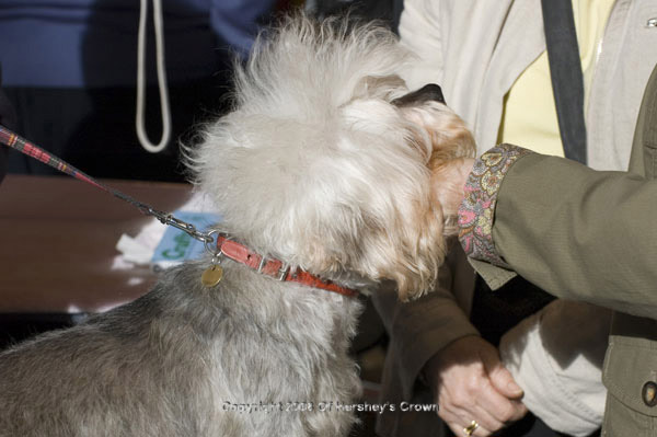 Crufts-200812