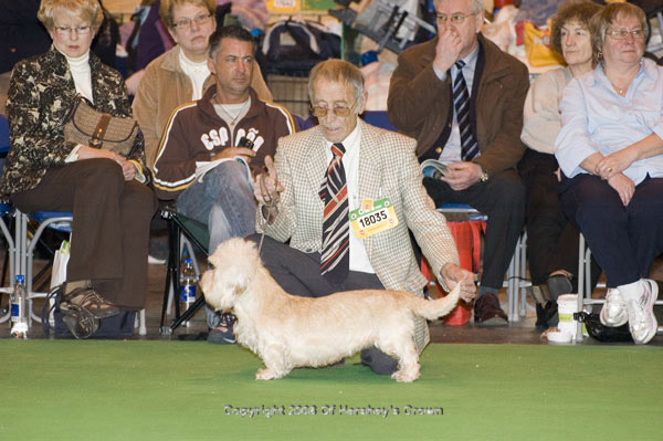 Crufts-2008155