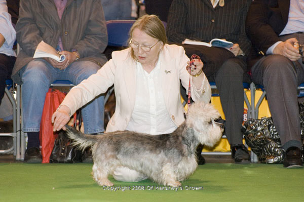 Crufts-2008164