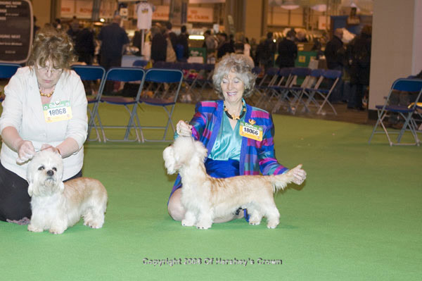 Crufts-2008174