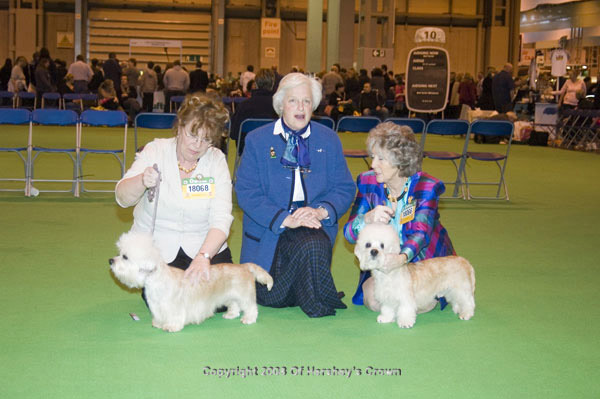 Crufts-2008180
