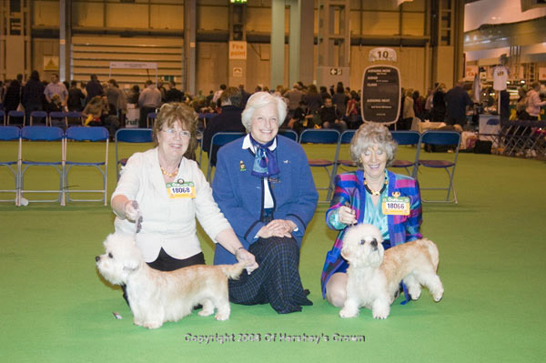 Crufts-2008182