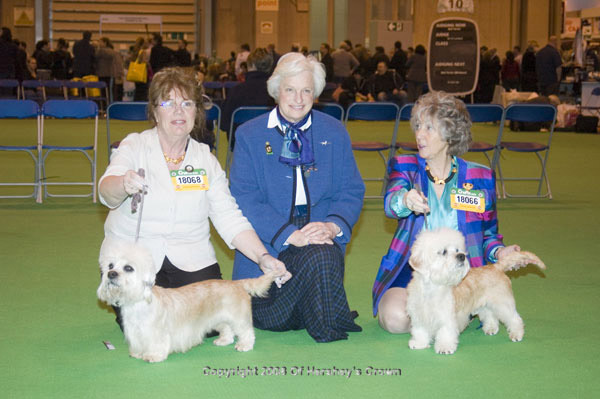 Crufts-2008184