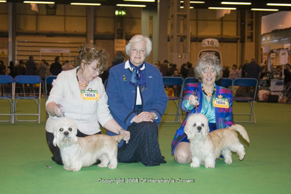 Crufts-2008185