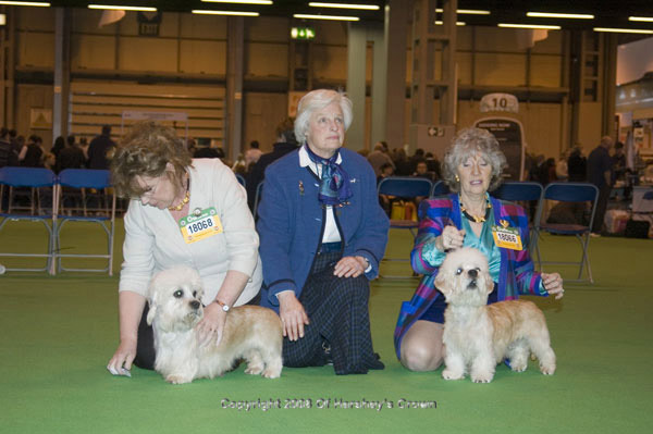 Crufts-2008186