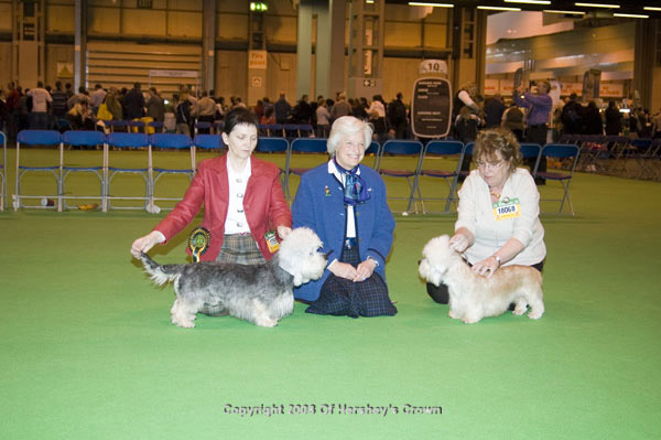 Crufts-2008187