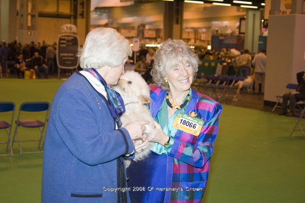 Crufts-2008189