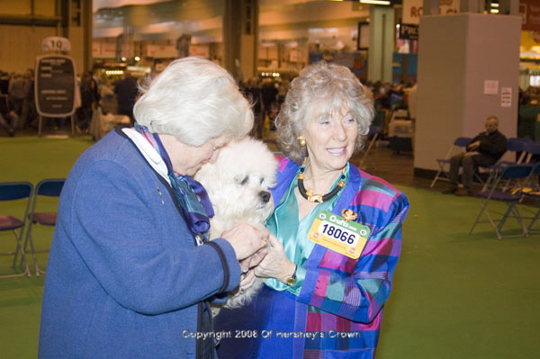Crufts-2008192