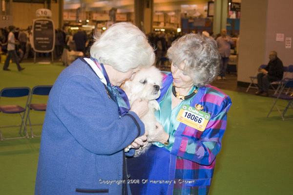 Crufts-2008193