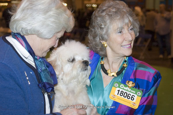 Crufts-2008194