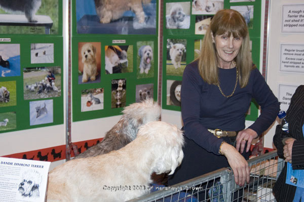 Crufts-2008195