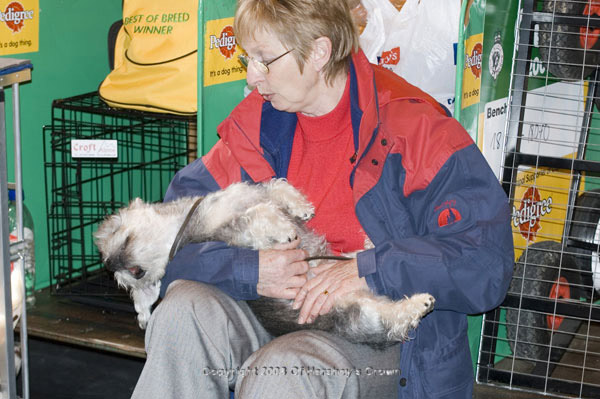 Crufts-200820
