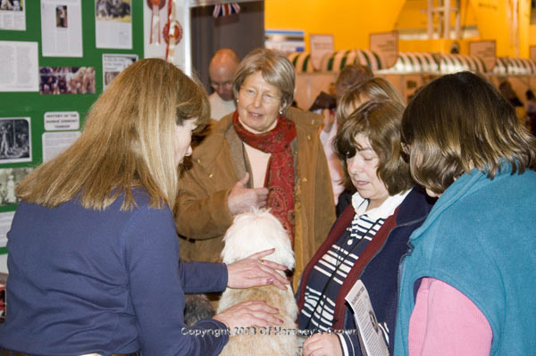 Crufts-2008203