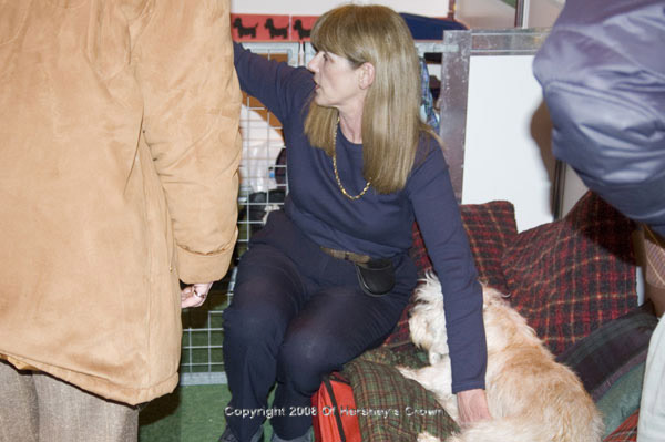 Crufts-2008205