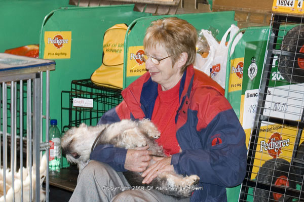 Crufts-200821