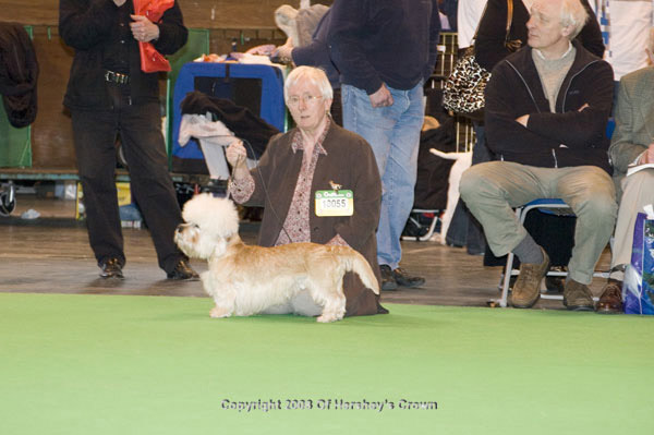 Crufts-200896