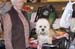 Crufts-200802