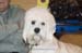 Crufts-200806