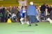 Crufts-2008108