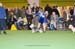Crufts-2008109