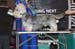 Crufts-2008120