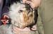 Crufts-200813