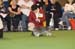 Crufts-2008131