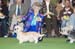 Crufts-2008135