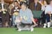 Crufts-2008136