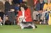 Crufts-2008138