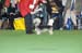 Crufts-2008147