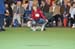 Crufts-2008150