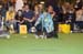 Crufts-2008153