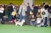 Crufts-200845