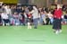 Crufts-200847