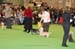 Crufts-200848