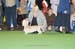 Crufts-200849