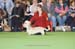 Crufts-200851