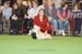 Crufts-200854