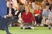 Crufts-200856