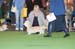 Crufts-200858