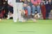 Crufts-200871