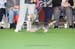 Crufts-200878