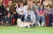 Crufts-200887