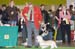 Crufts-200898